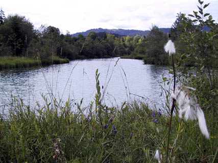Stuibenf&auml;lle 01