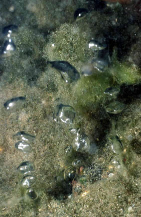 Stuibenf&auml;lle 01