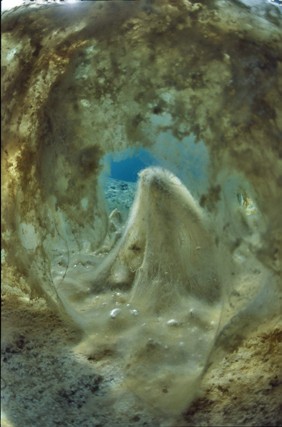 Stuibenf&auml;lle 01