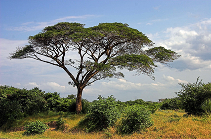 Stuibenf&auml;lle 01