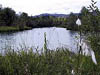 Herrensee 01