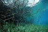 Herrensee 05