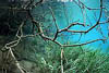 Herrensee 06