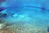 Herrensee 07