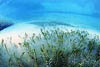 Herrensee 10
