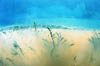 Herrensee 12