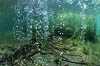 Laacher See 05 - CO2-Blasen