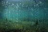 Laacher See 10 - CO2-Blasen