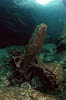 Tessin / CH - Verzasca - Amslerbecken - 09