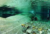 Tessin / CH - Verzasca - R&ouml;merbr&uuml;cke - 14