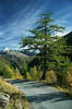 Tessin / CH - Maggia - Fusio - 36