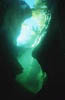 Tessin / CH - Maggia - Dead Goat Canyon - 44