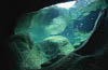 Tessin / CH - Maggia - Dead Goat Canyon - 50