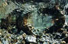 Tessin / CH - Maggia - Dead Goat Canyon - 55
