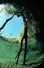 Tessin / CH - Maggia - Dead Goat Canyon - 58