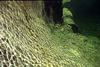 Tessin 09